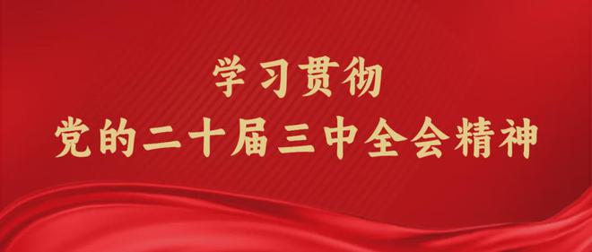 2024年天天彩资料免费大全|精选解释解析落实
