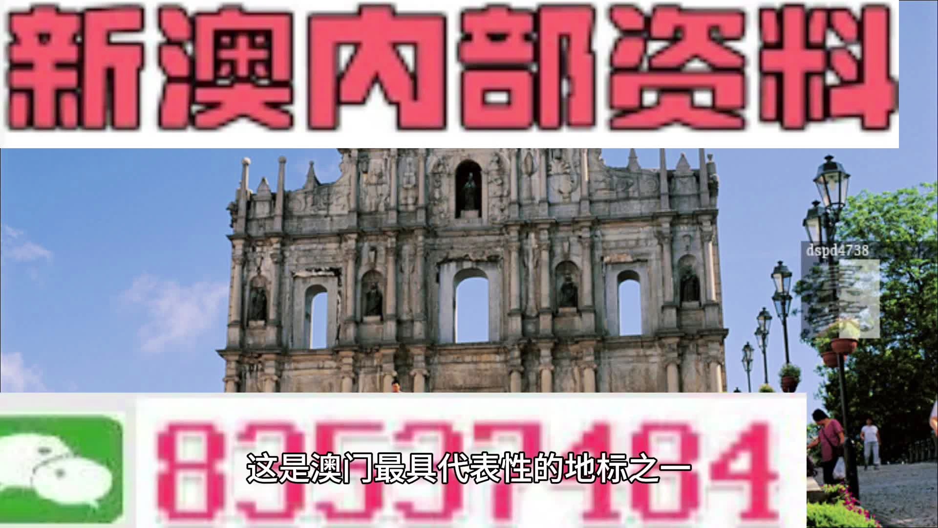 2004新澳正版资料最新更新|精选解释解析落实